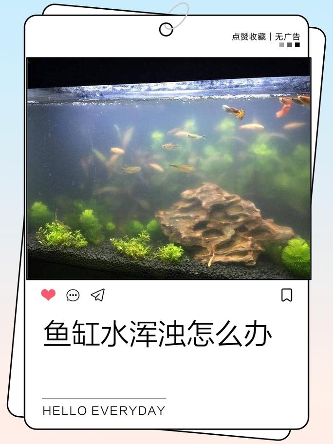 梦见鱼缸缺水有什么特殊预兆或暗示？
