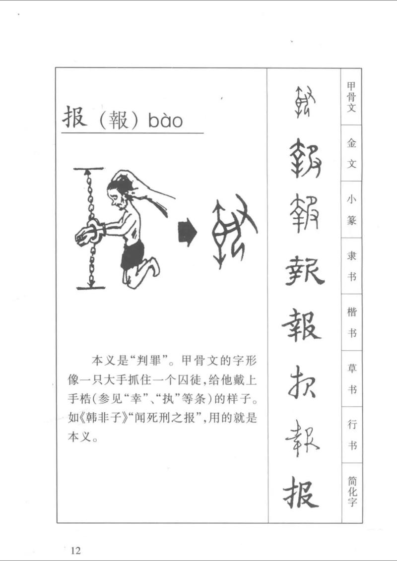 报字五行属什么起名寓意有何深意？