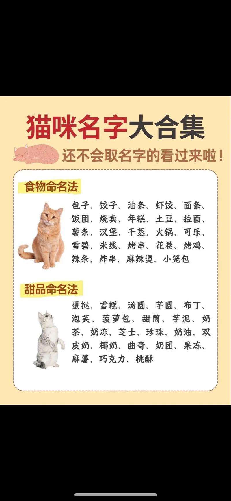 有哪些两个字的好听宠物名字推荐？