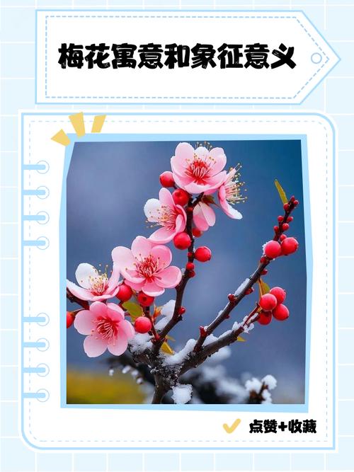 梦见梅花和龙分别预示着什么含义？