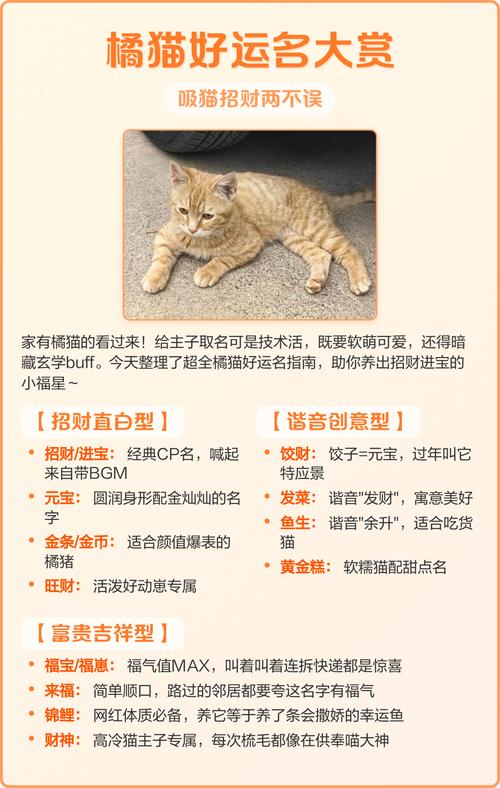 有没有什么寓意健康和发财的好名字，适合给猫咪取？