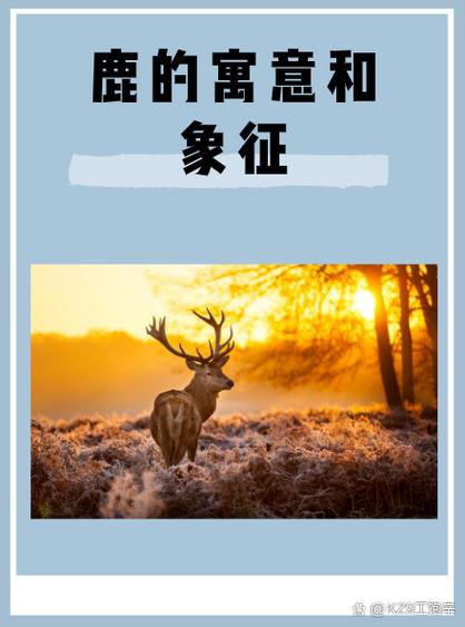梦见自己遇到鹿有什么特殊含义或预示着什么？