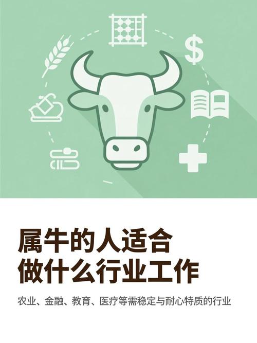 属牛的人最适合从事什么职业或活动？