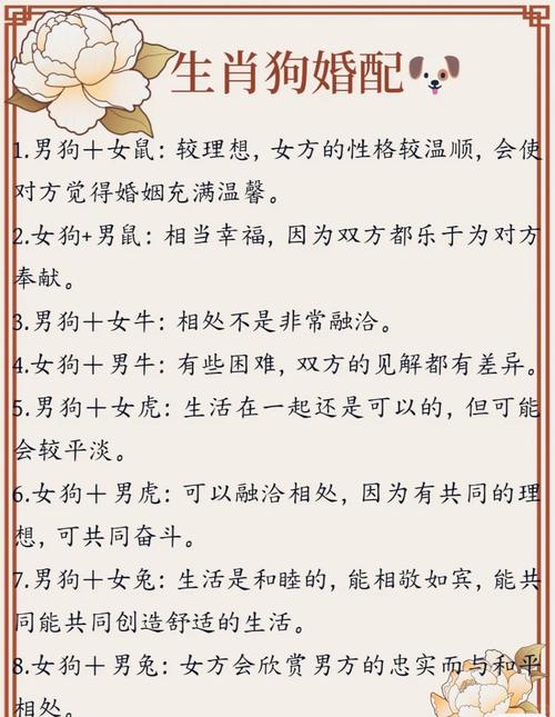 属狗人和属狗人结婚会幸福吗？他们的婚配是否合适？