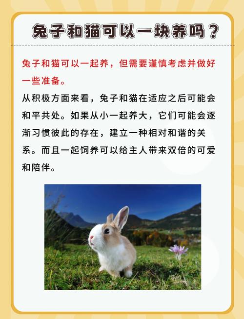 梦见兔子和猫分别代表什么含义，它们在梦境中有什么特殊的意义吗？