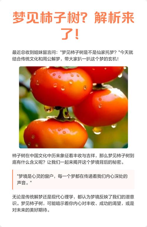 梦见柿子预示着什么吉凶？