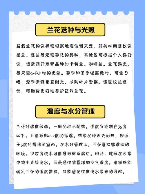 养兰花这么久了有没有什么秘诀能让我的兰花在朋友圈里脱颖而出呢？