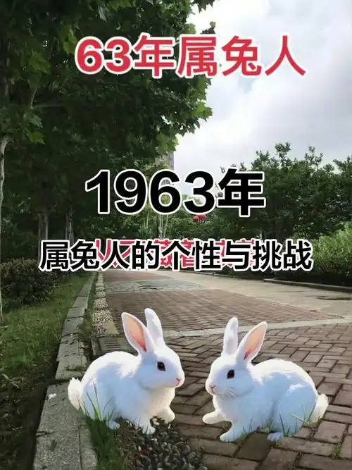 1963年2月出生的人，他们的兔年命运究竟如何？