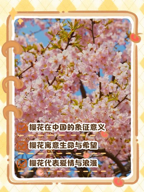 书樱什么意思？它蕴含了怎样的寓意和象征？
