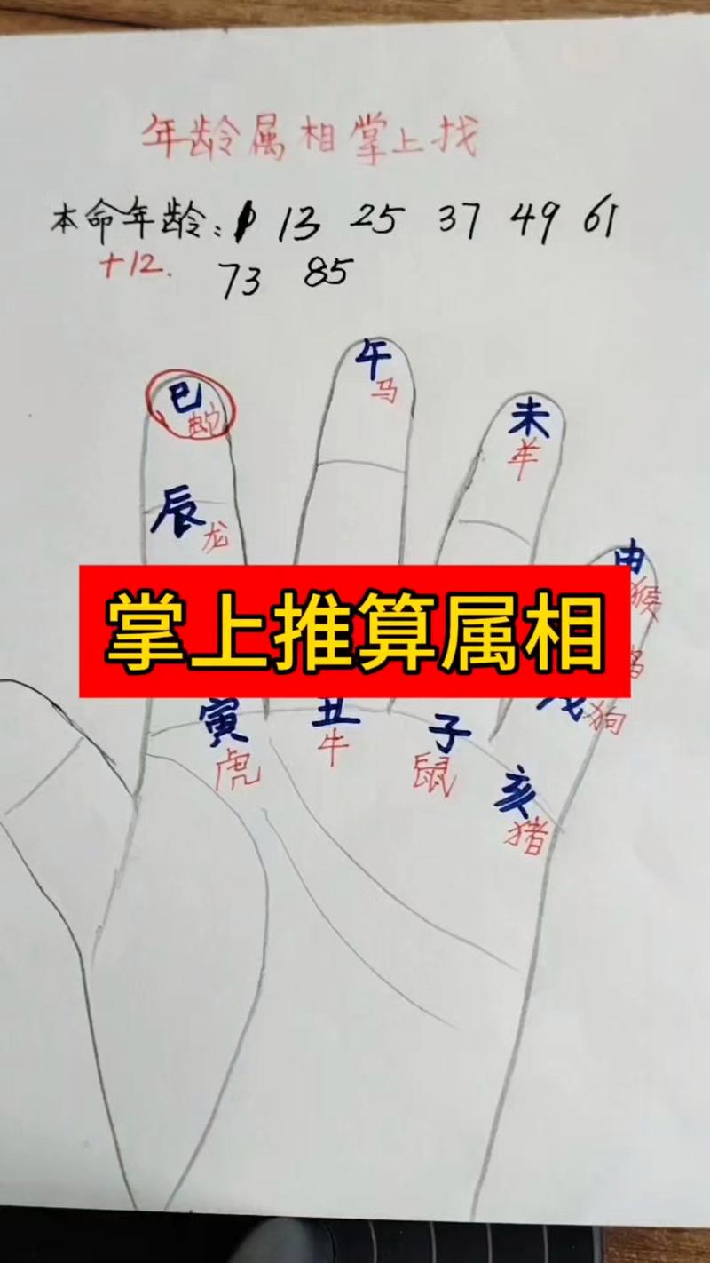 12生肖的计算方法究竟是怎样的？