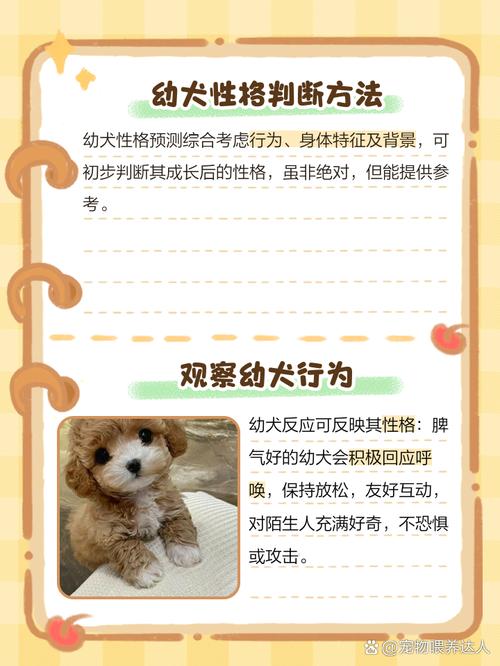 幼犬长大后如何判断是否会凶猛？