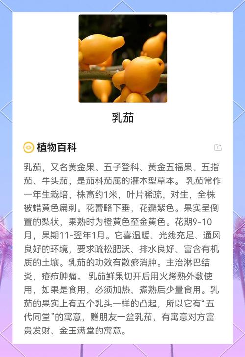 发财果的五行属性是什么？果字的五行属性又是如何？