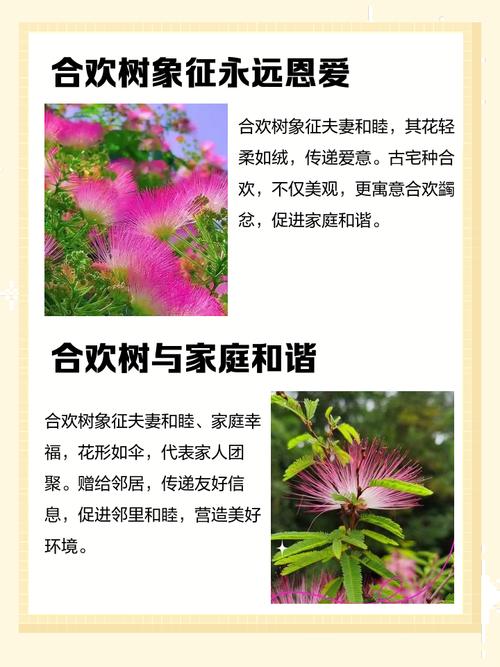 情侣树名字内涵丰富，有没有适合挂在爱情树上寓意美好的简短名字推荐呢？
