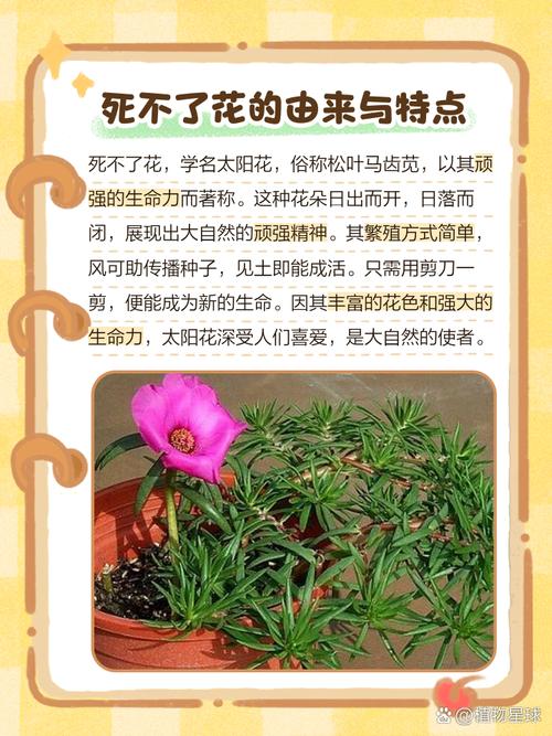 梦见花园被破坏了这预示着什么？花被毁坏有什么特殊含义吗？