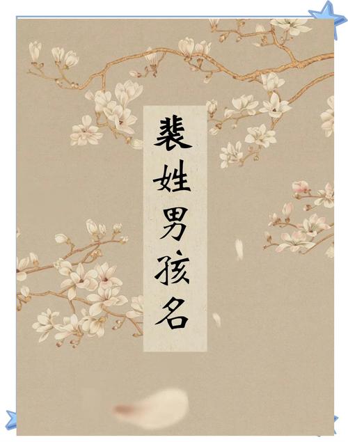 裴姓男孩取名，有没有既儒雅又有寓意的名字推荐呢？