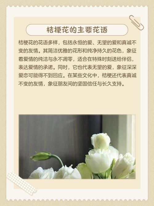 每朵桔梗花分别代表什么含义，将5朵桔梗花组合在一起又意味着什么？