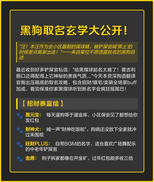 有没有黑狗男宝宝蕞吉利取名大全？
