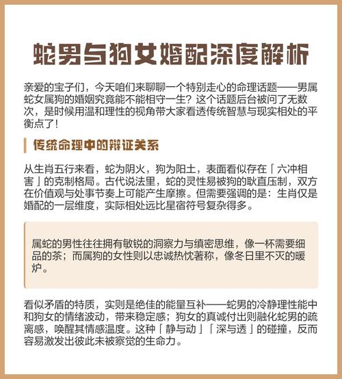 生肖蛇与狗的婚姻配对是否和谐，他们的结合会幸福美满吗？