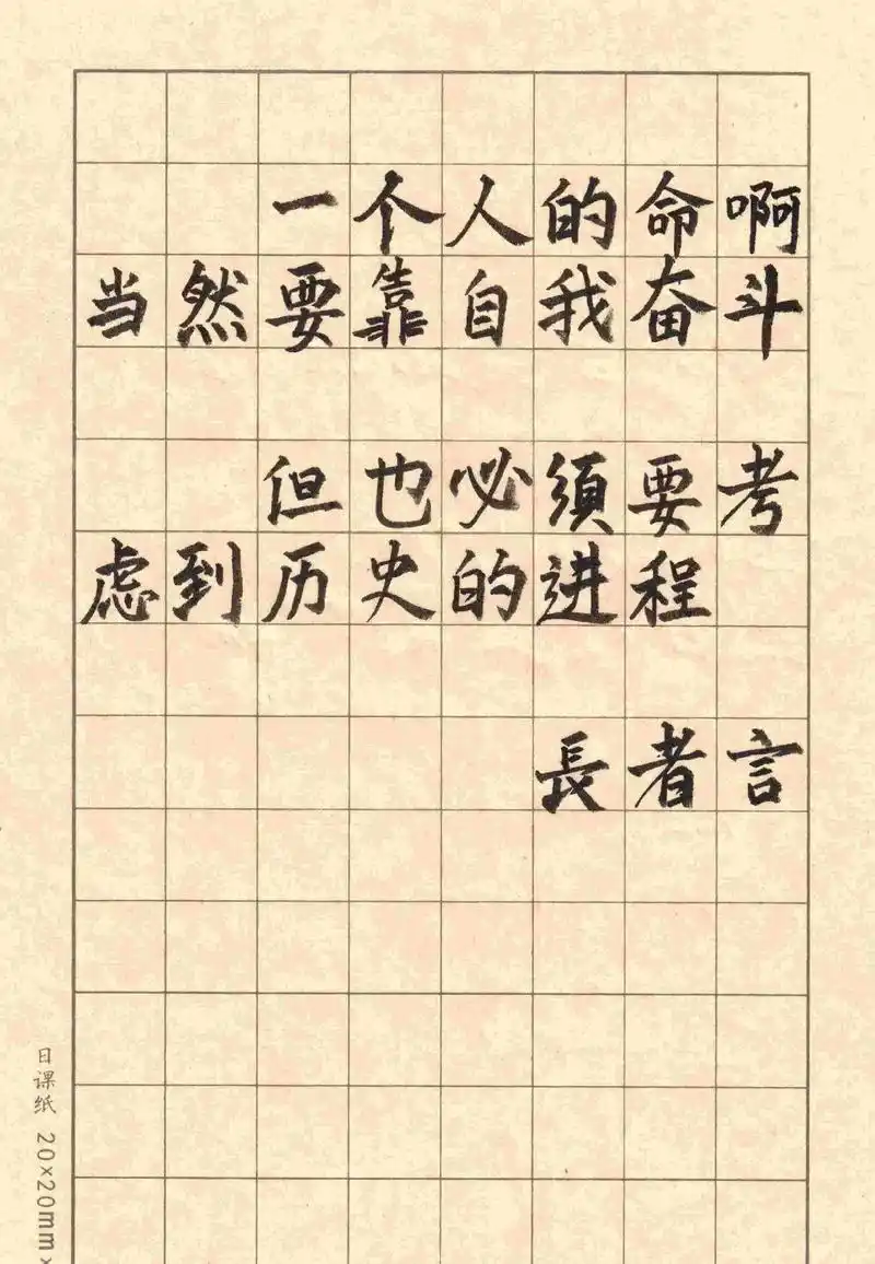 一个人的命运，是自我奋斗与历史进程共同塑造的吗？