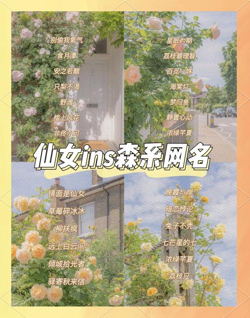 有没有什么小清新、可爱好听的女生QQ名称推荐呢？