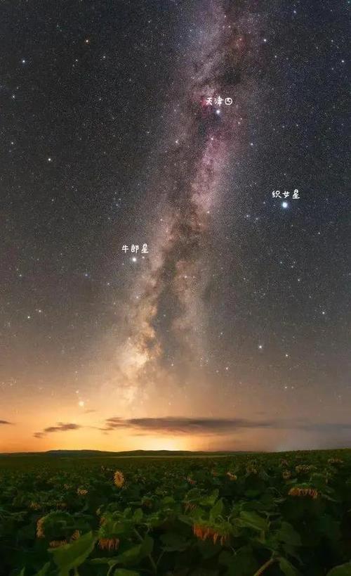 牛郎星究竟属于哪个星座，又在夜空中哪个方位闪耀？
