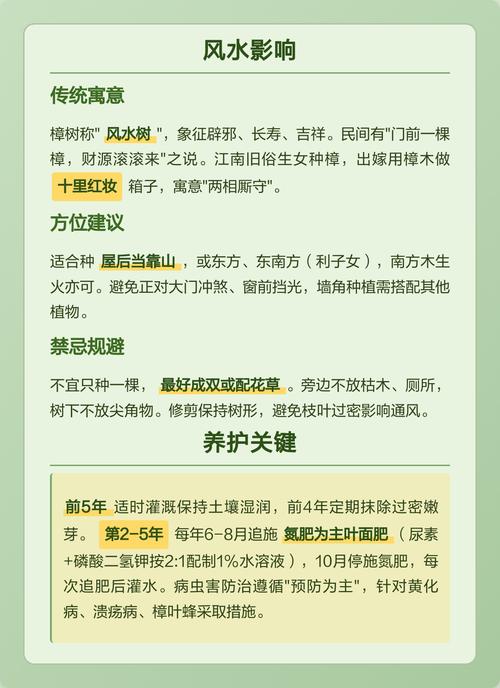 庭院种植樟树对风水有好处吗？为什么屋前屋后不宜种植樟树？