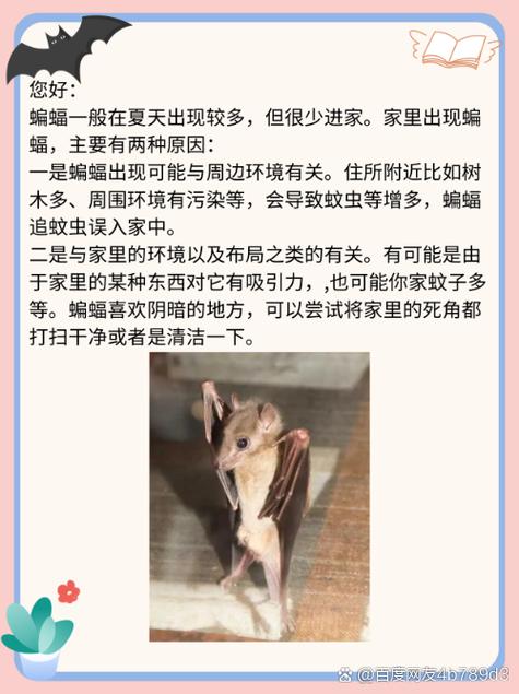 梦见蝙蝠扑来咬脖子有什么特殊预兆或含义？
