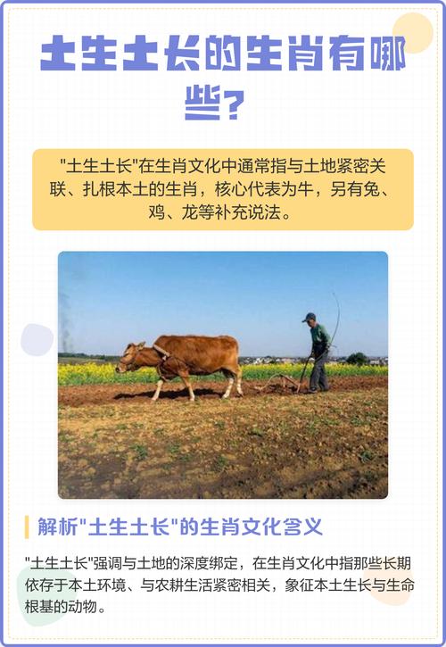 土生土长的生肖是哪个？它的简介和特点有哪些？