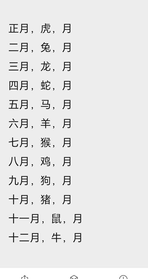 属猪出生在十一月每个时辰的命运分别如何详细解析？