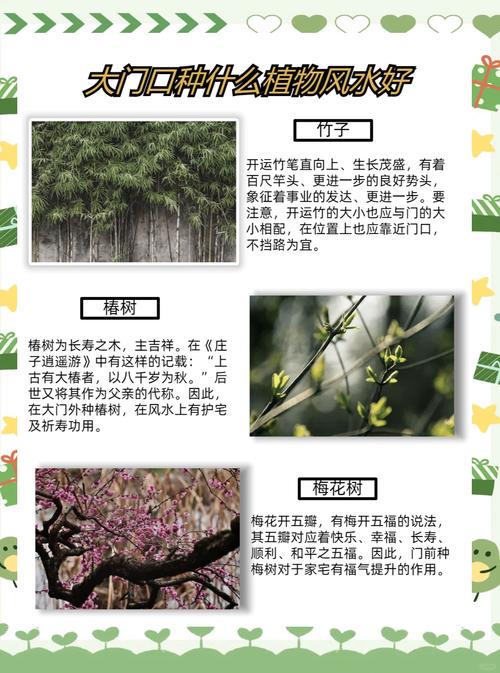 梦见在门前种植小树，预示着什么吉凶？