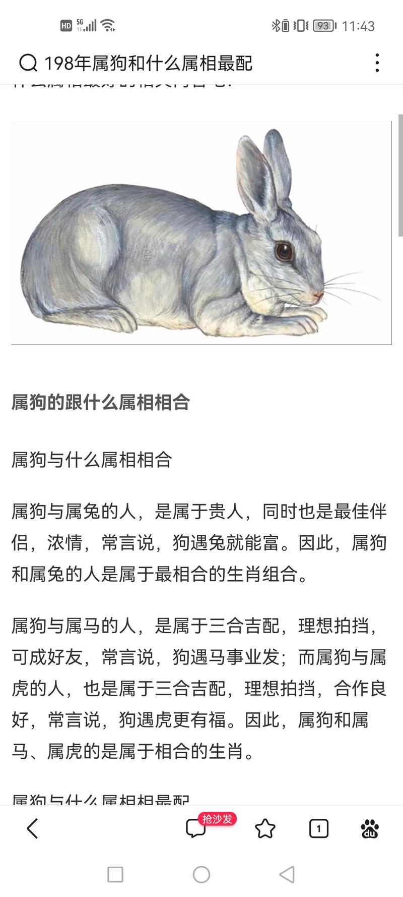 属兔和属狗的财运如何，互为贵人的他们是否合财？