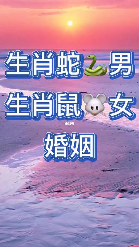 属蛇大宝和属鼠二宝的八字合不合，能否携手共度一生？