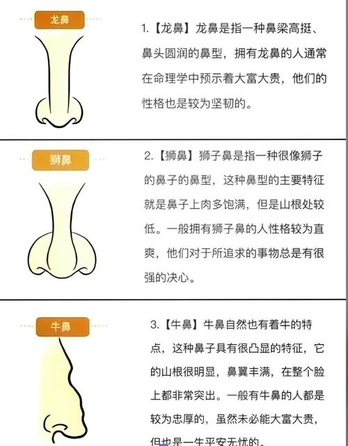 大富大贵的鼻子面相有什么显著特点？