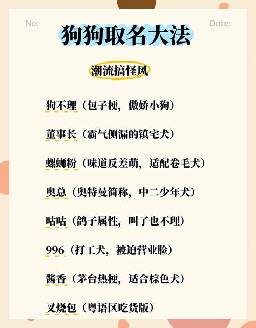 有没有什么霸气又拽的名字适合给男狗？