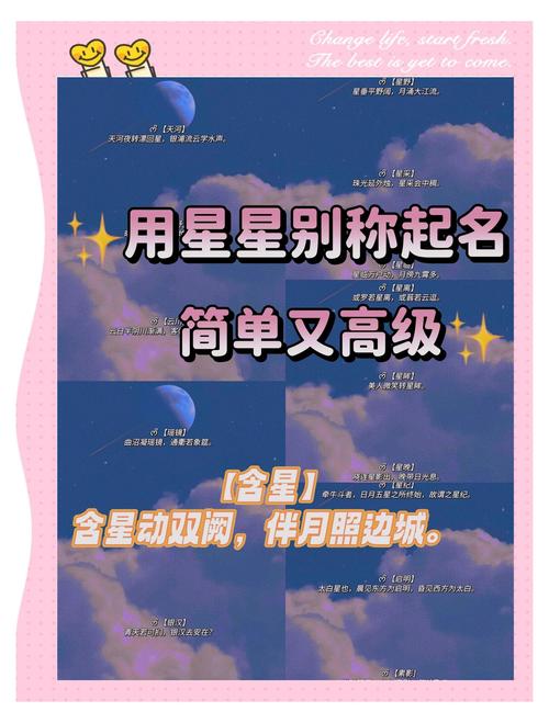星取名字的寓意具体代表什么含义？
