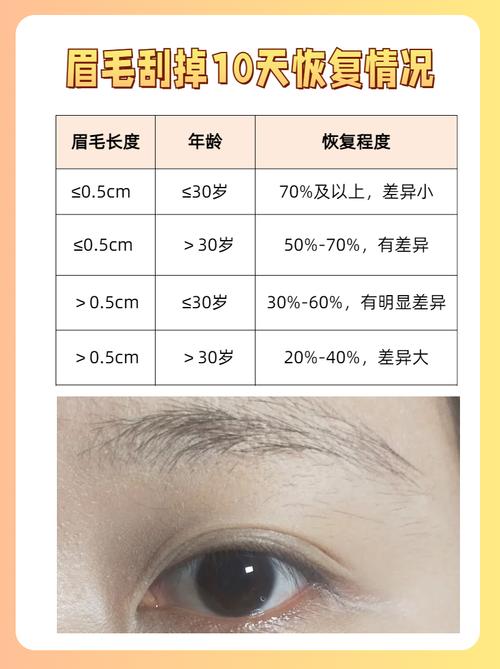 眉毛刮秃了一块，怎么修复才嫩不留痕迹？