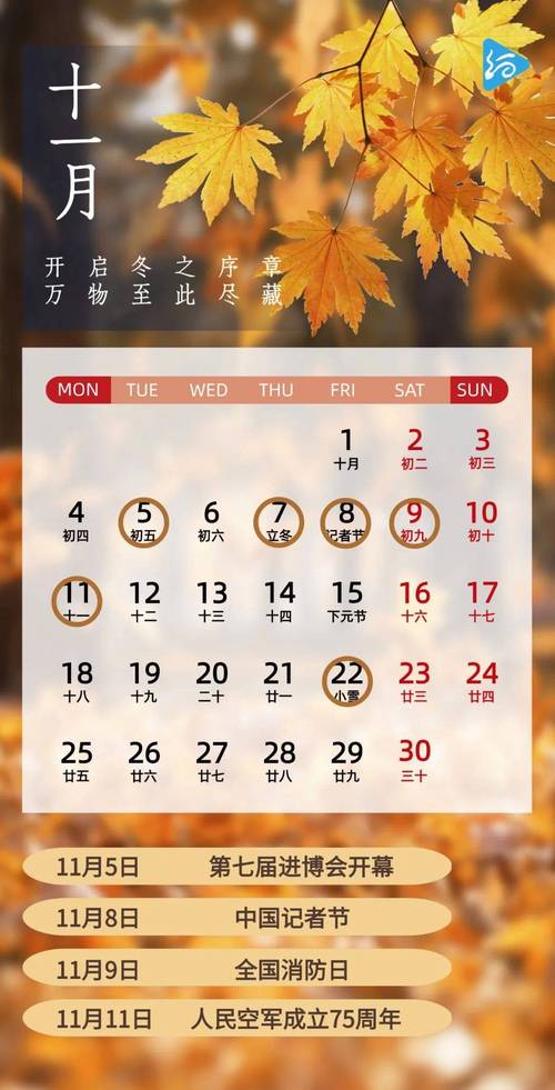 农历十一月对应的阳历是哪个月份？