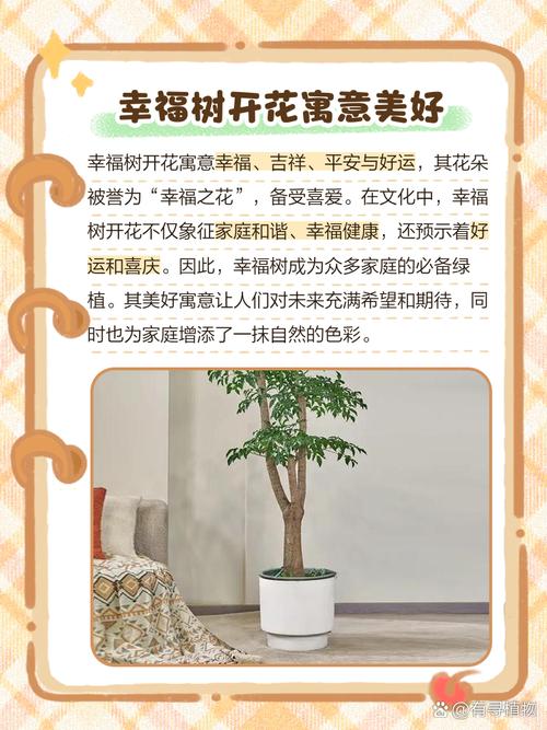梦见树开花了是什么吉凶预兆？