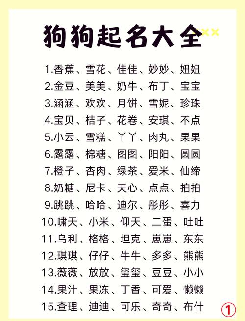 有没有好听又寓意的宠物名字推荐，适合女生养的狗狗，名字要可爱又特别呢？