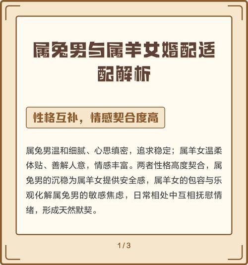 属兔和属羊的婚配楼层是哪一层？