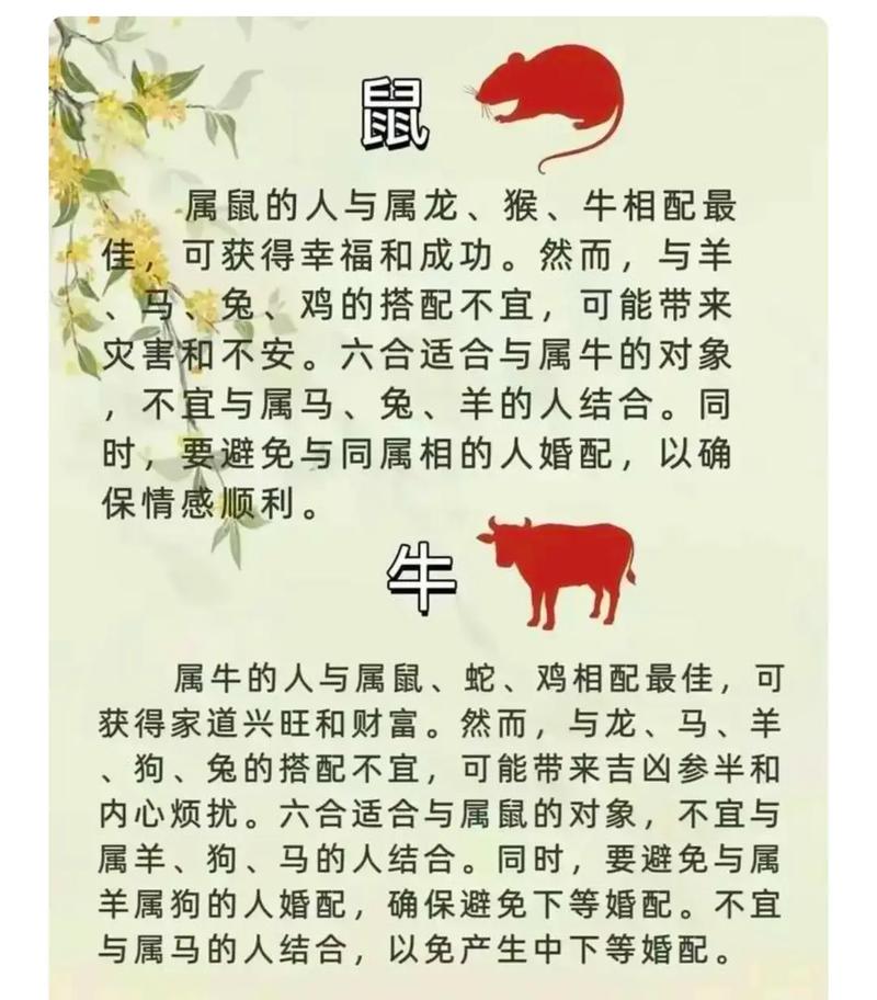 十二生肖夫妻匹配表具体含义是什么？