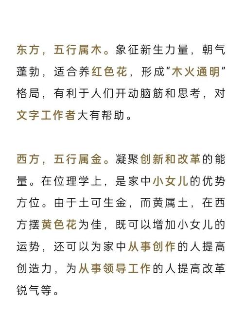 花在五行中究竟属于哪一种属性？五行属性具体是什么？