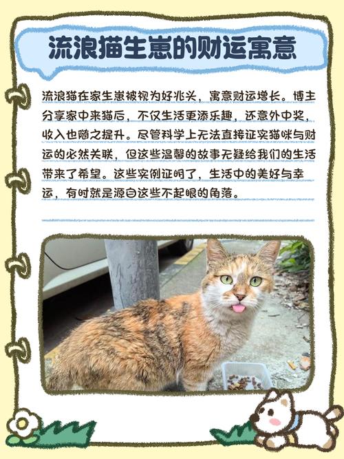 梦见家里生了一窝小猫，这是否预示着什么好事即将发生呢？