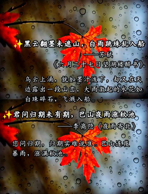 雨辰这个名字蕴含着怎样的诗意含义呢？