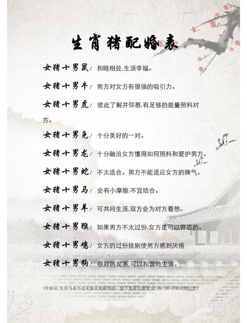 属猪的生肖和哪个生肖蕞匹配呢？