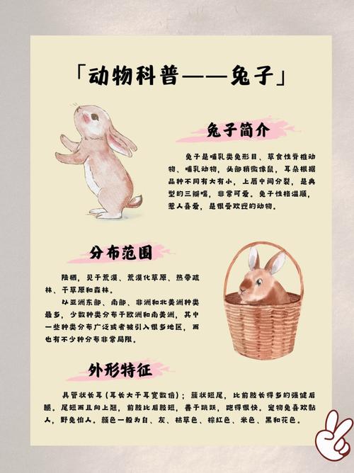 窈窕淑女指的是哪种生肖动物？它的生肖是什么？