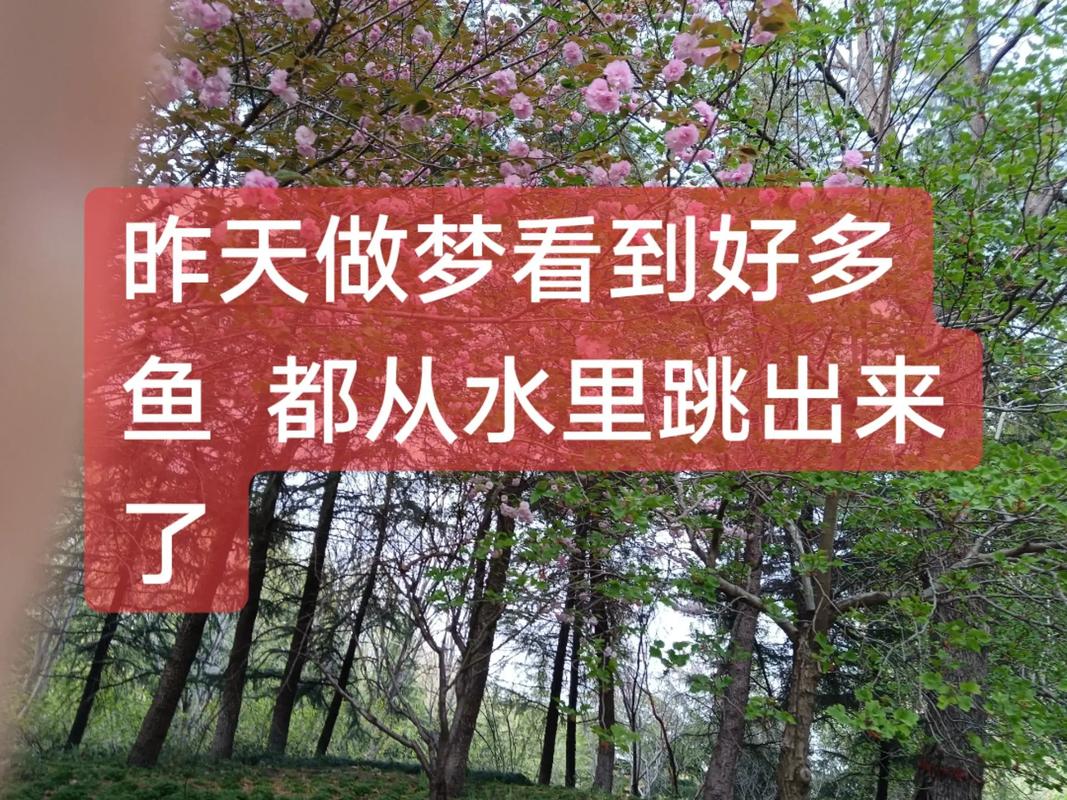 女人梦见好多小鱼仔，这究竟是什么寓意呢？