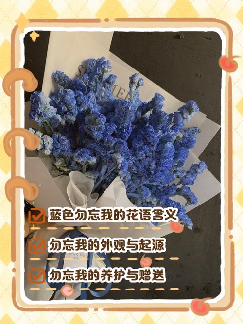 勿忘我的花语和不同颜色分别代表什么寓意？