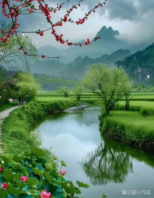 梦见如画美景预示着什么含义？