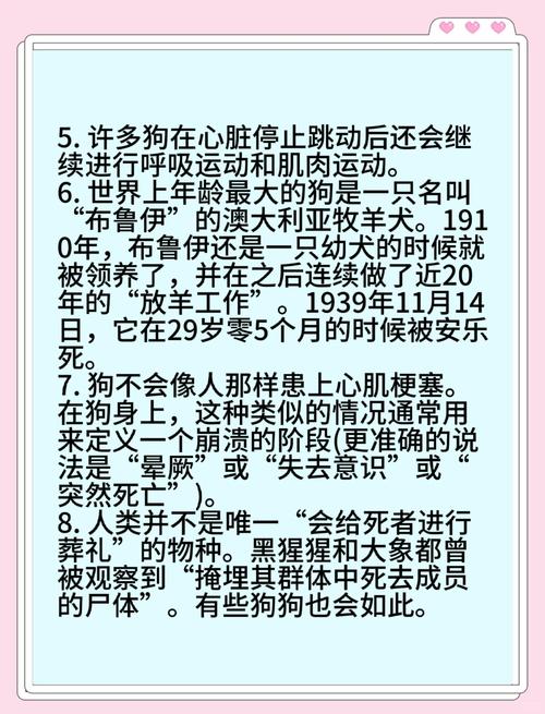 家里狗狗不幸离世，这究竟预示着什么不祥的征兆？